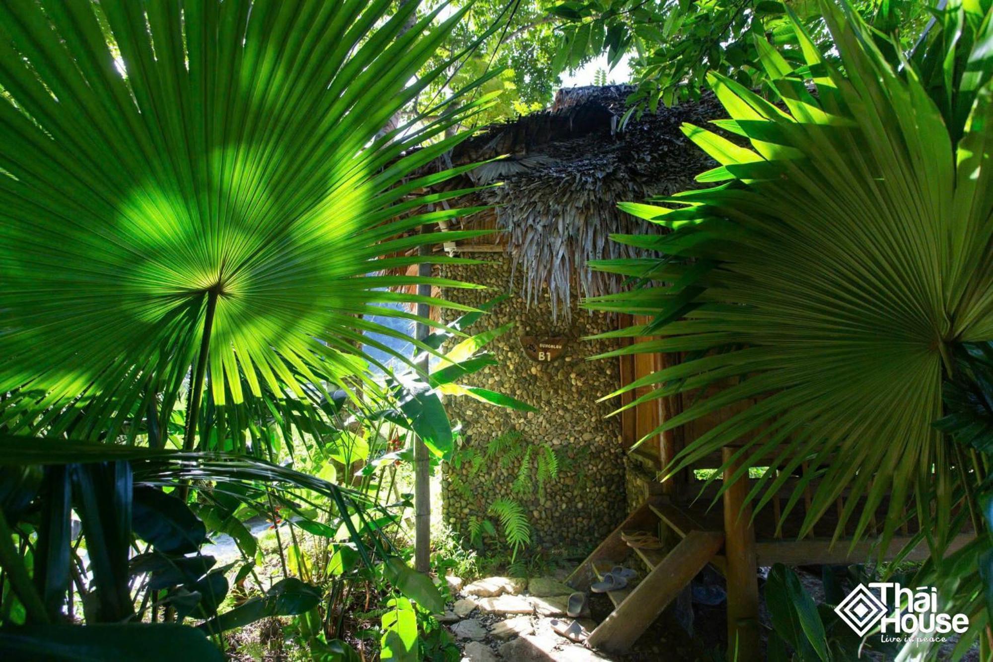 Thai House Pu Luong - Century Old Stilt House With Terrace Views Huong Ba Thuoc Exteriér fotografie