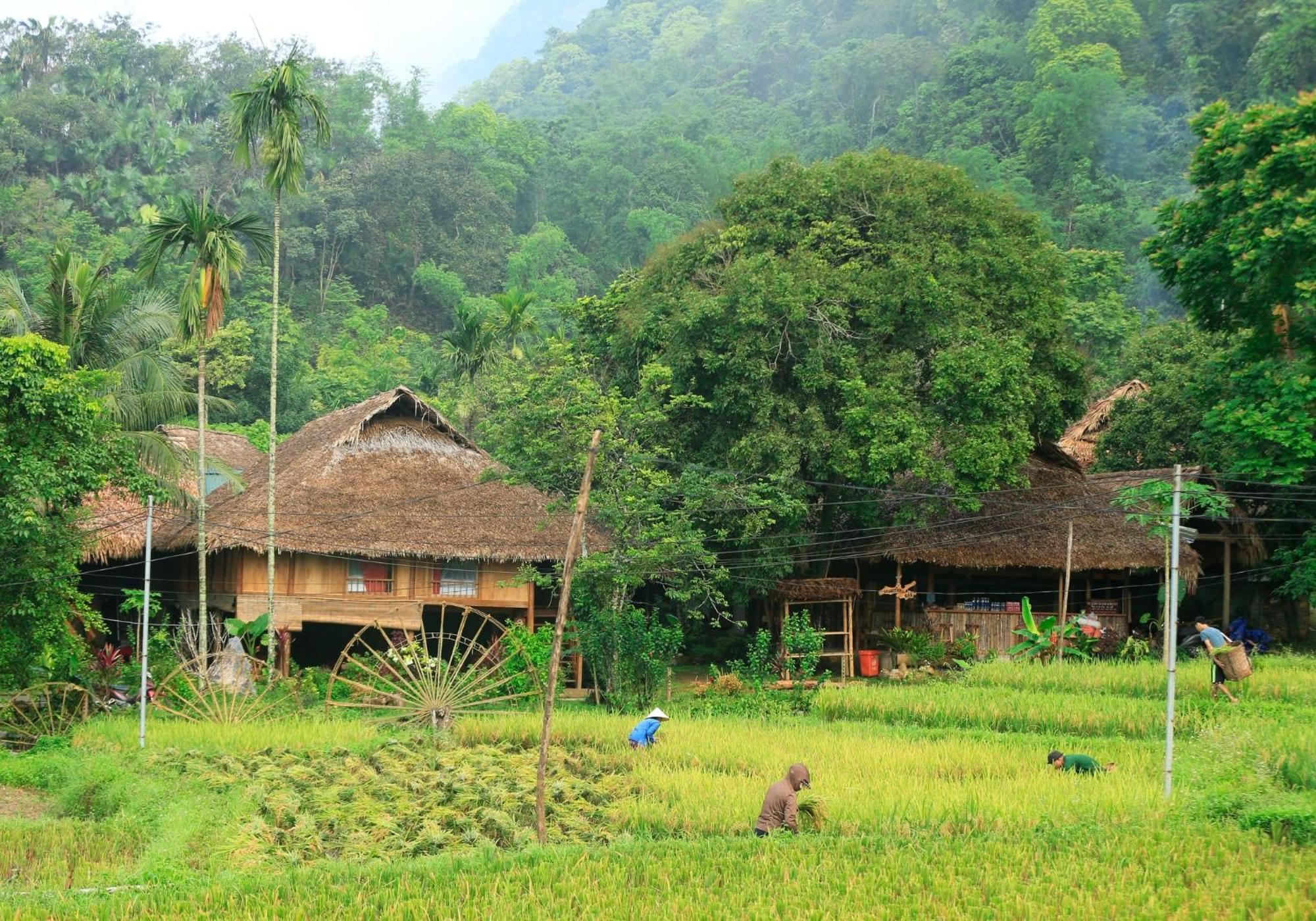 Thai House Pu Luong - Century Old Stilt House With Terrace Views Huong Ba Thuoc Exteriér fotografie